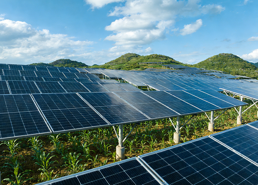 Wangmo County Angwu Town Heting Phase II Agricultural PV Power Station Project