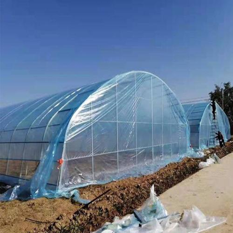 Cold Greenhouse