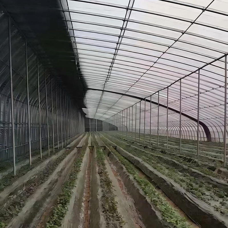 Insulated Warm Greenhouse