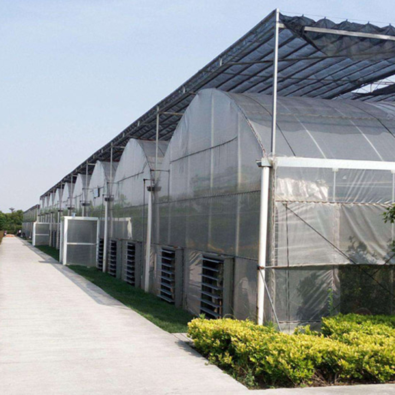Multi-Span Intelligent Greenhouse
